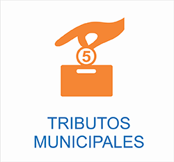 Tributos municipales